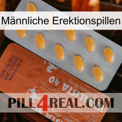 Männliche Erektionspillen 43